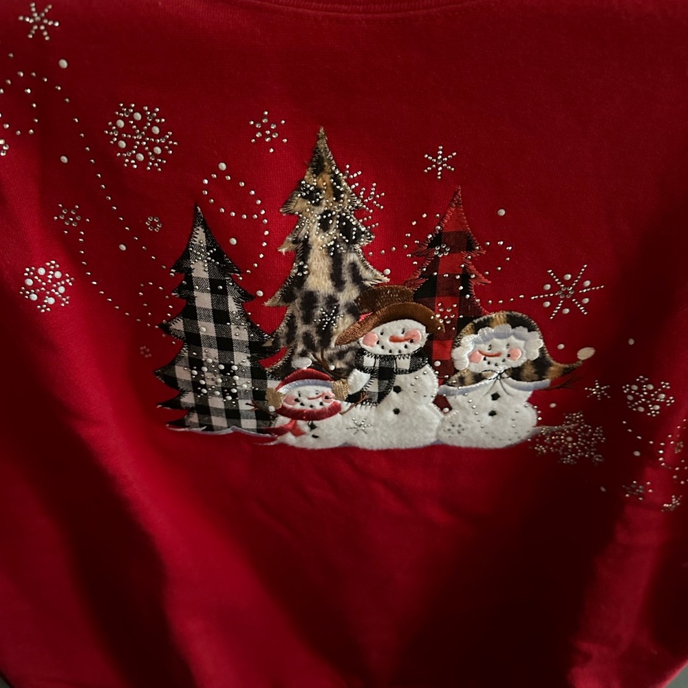 Never worn holiday sweatshirt